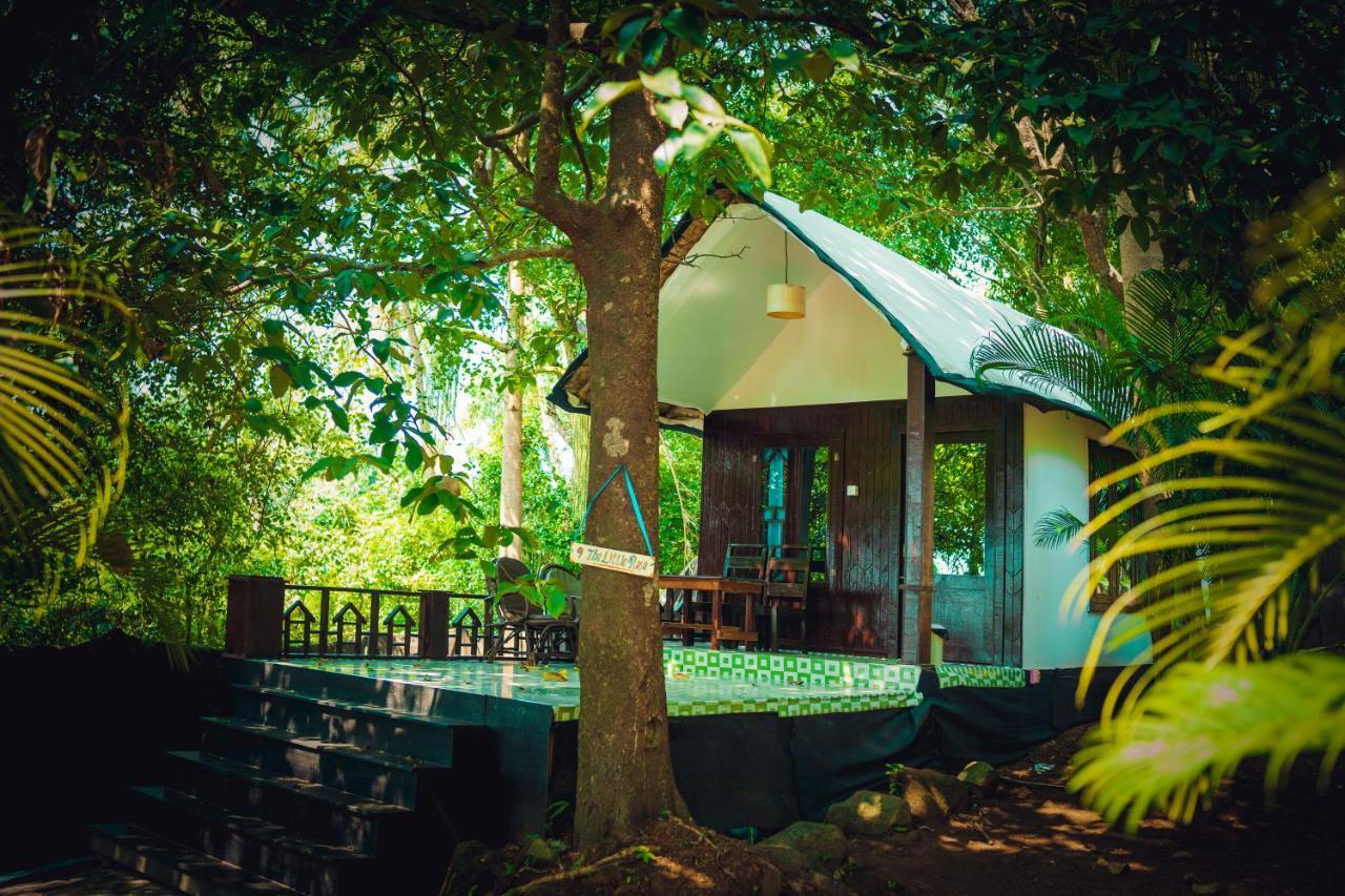 La La Land Resort Goa Palolem Exterior foto